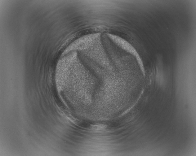 X0000076070266200610202022