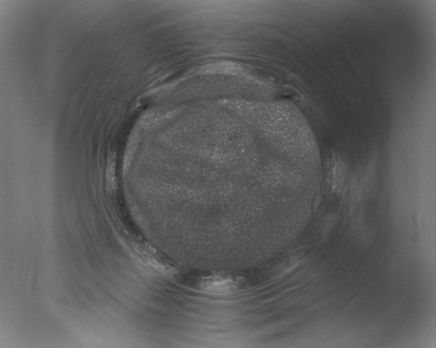 X0000076070267200610202022