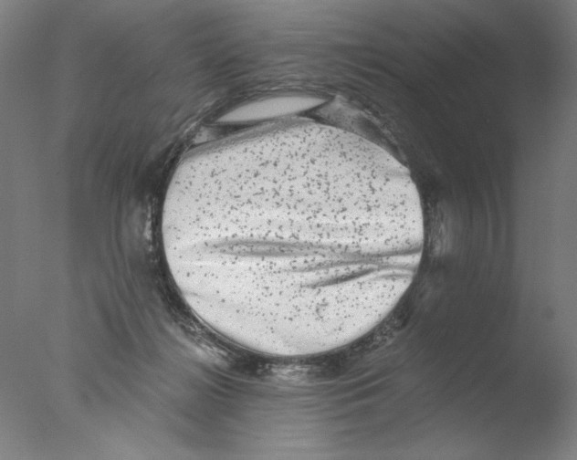 X0000076070268200610202022