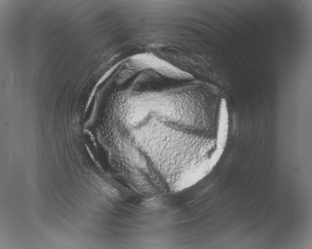 X0000076070269200610202022