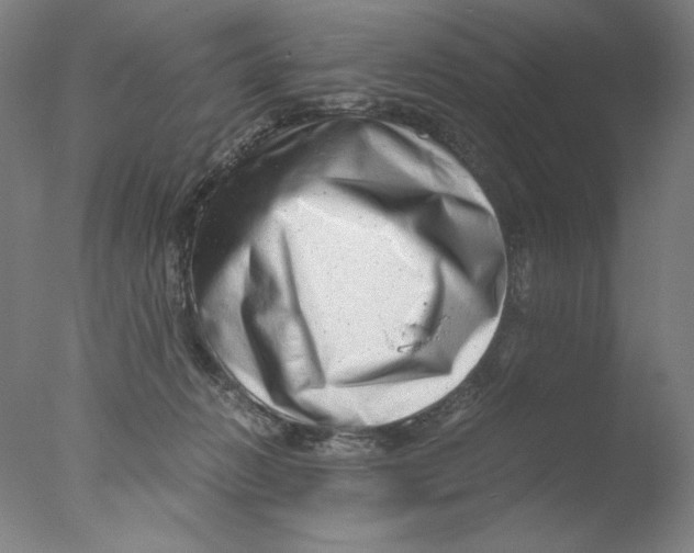 X0000076070270200610202022