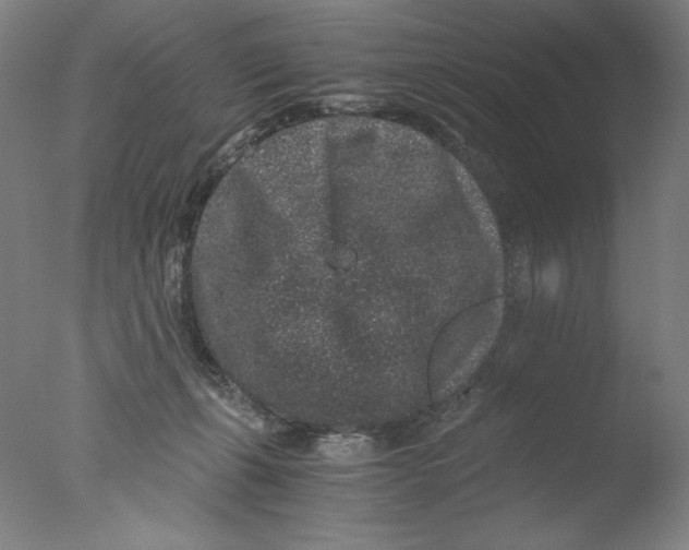 X0000076070271200610202022