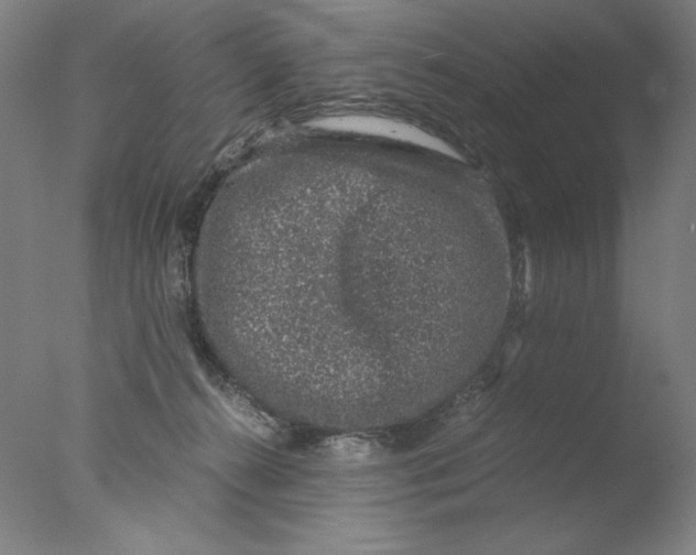 X0000076070272200610202022