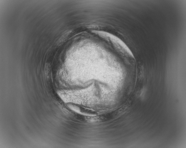 X0000076070273200610202022