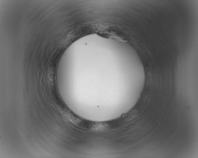 X0000076070274200610202022