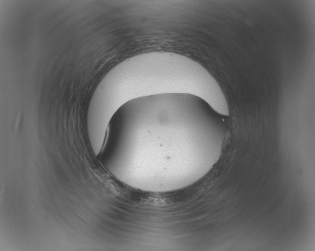 X0000076070276200610202022