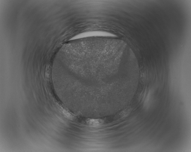 X0000076070277200610202022