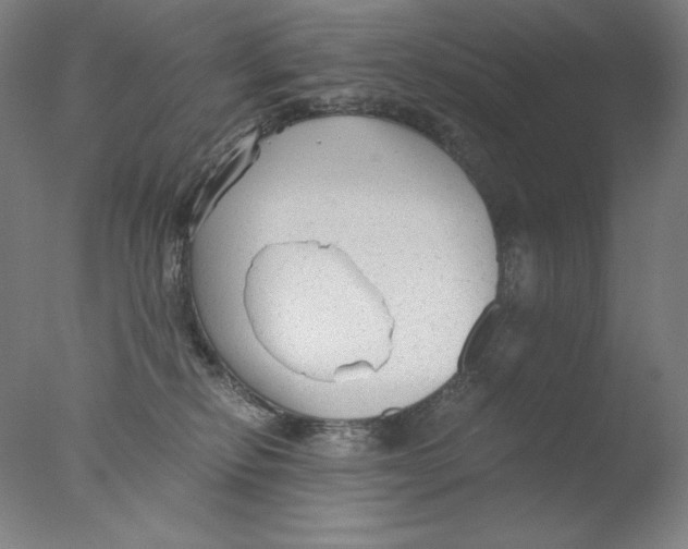 X0000076070278200610202022