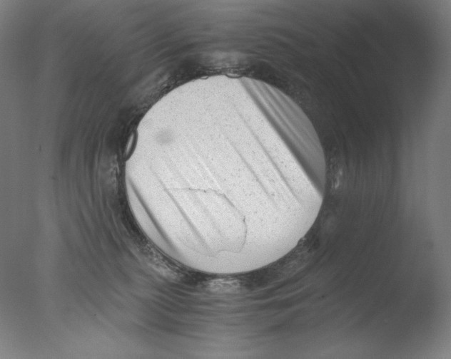 X0000076070279200610202022