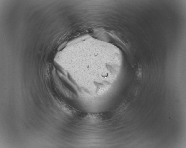 X0000076070280200610202022