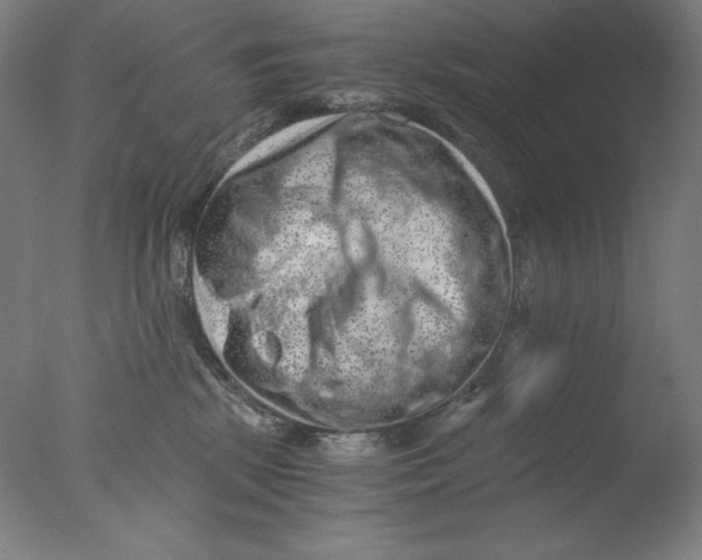 X0000076070281200610202022