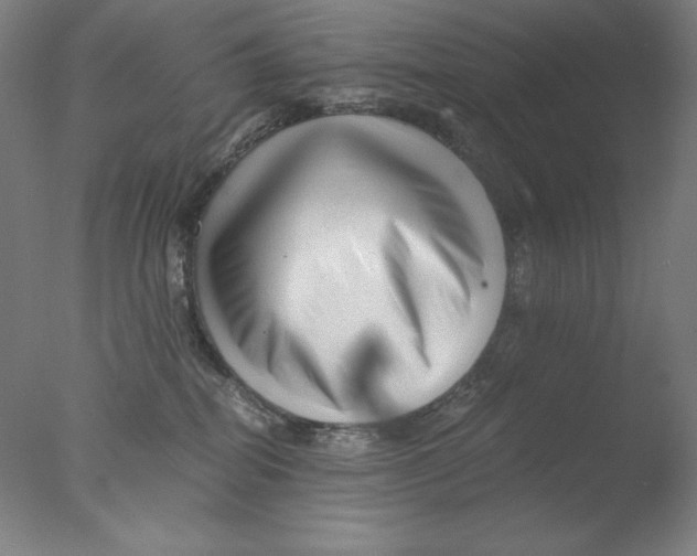 X0000076070282200610202022