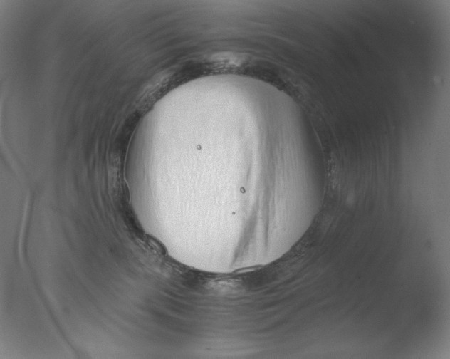 X0000076070283200610202022