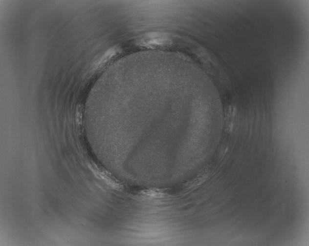 X0000076070284200610202022