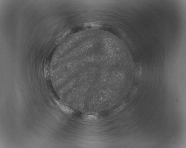 X0000076070285200610202022