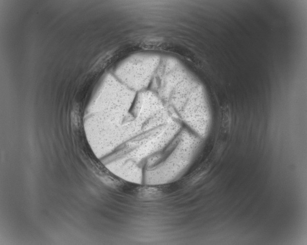 X0000076070287200610202022