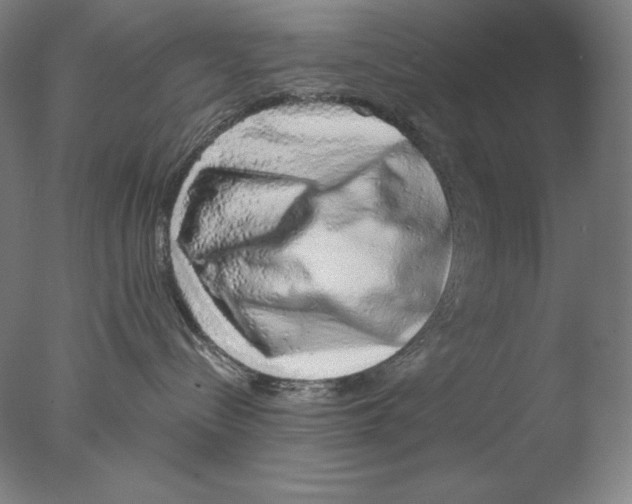 X0000076070288200610202022