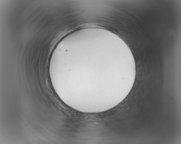 X0000076070289200610202021