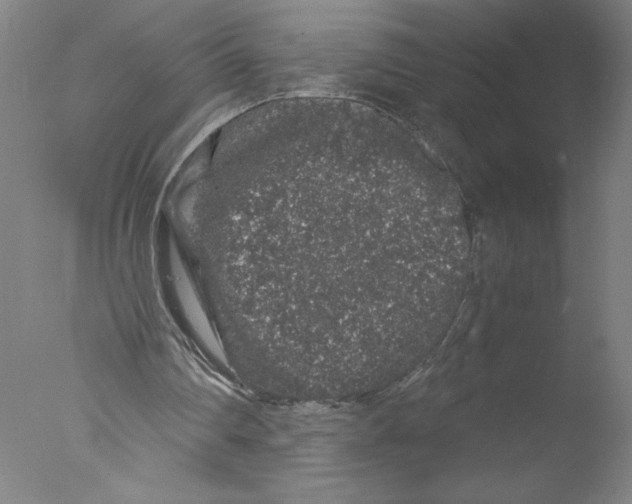 X0000076070290200610202021