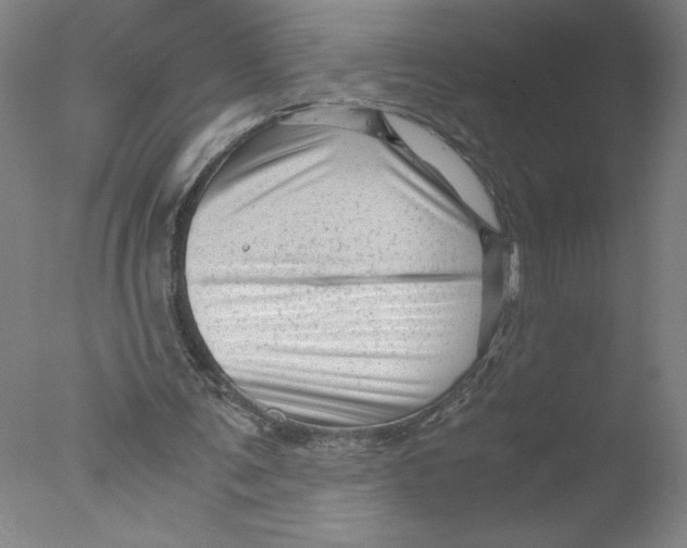 X0000076070291200610202021