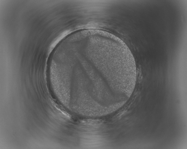 X0000076070292200610202021