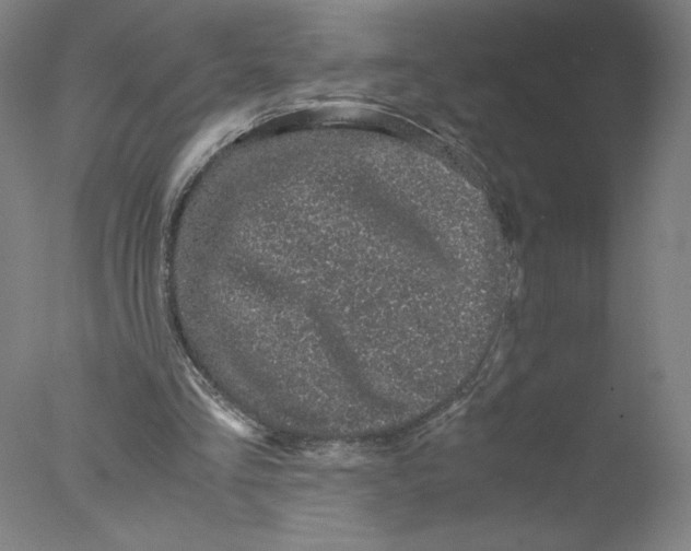 X0000076070293200610202021