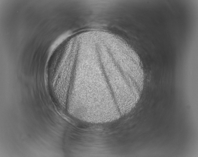 X0000076070294200610202021