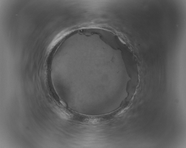 X0000076070295200610202021