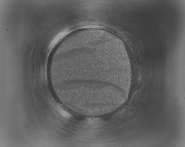 X0000076070296200610202021