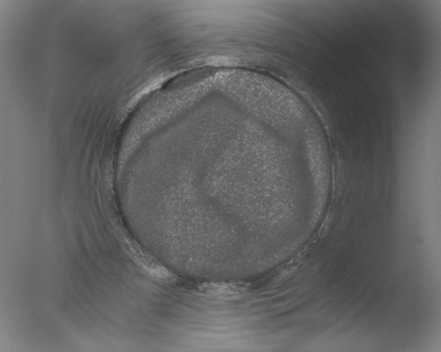 X0000076070297200610202021