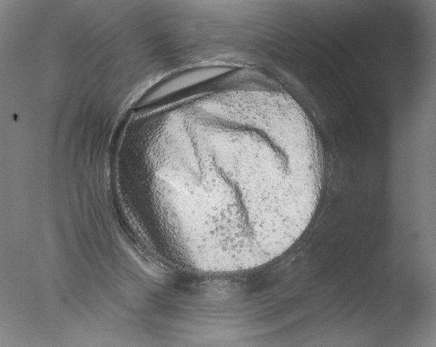 X0000076070298200610202021