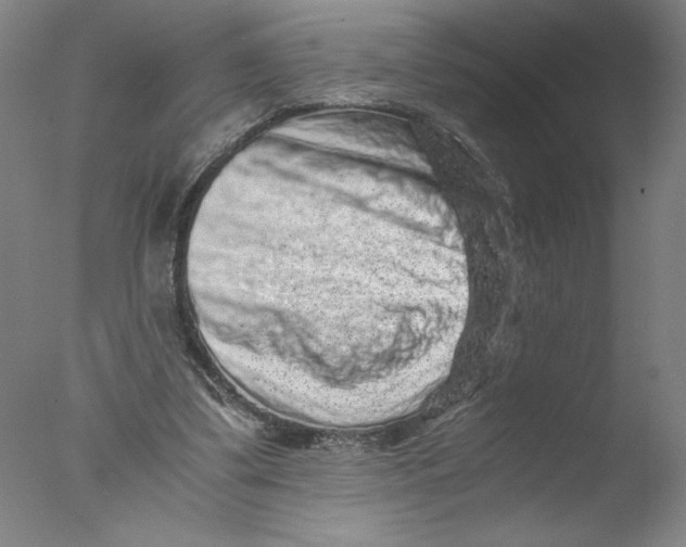 X0000076070299200610202021