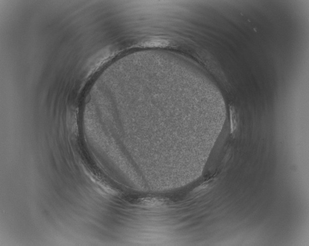 X0000076070300200610202021