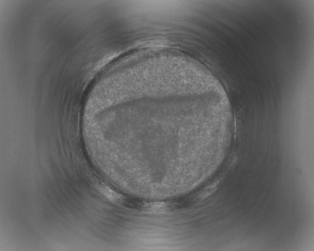 X0000076070301200610202021