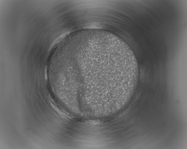 X0000076070302200610202021