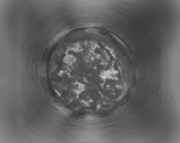 X0000076070303200610202021