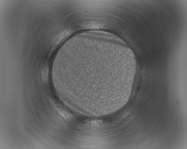 X0000076070304200610202021