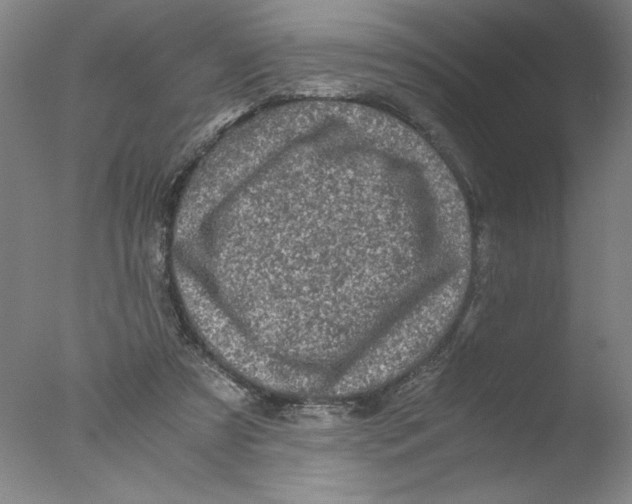 X0000076070305200610202021