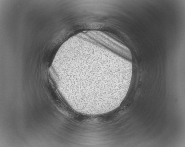 X0000076070307200610202021