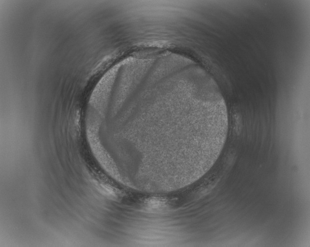 X0000076070308200610202021