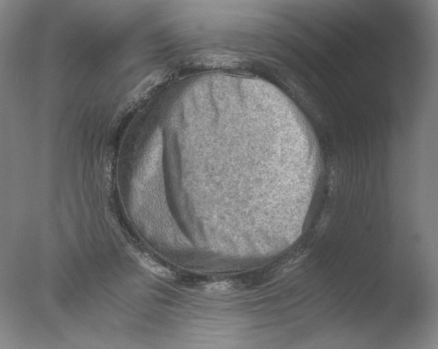 X0000076070309200610202021