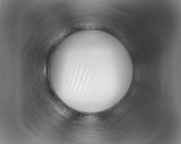 X0000076070310200610202021