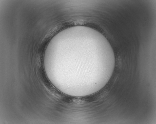 X0000076070311200610202021