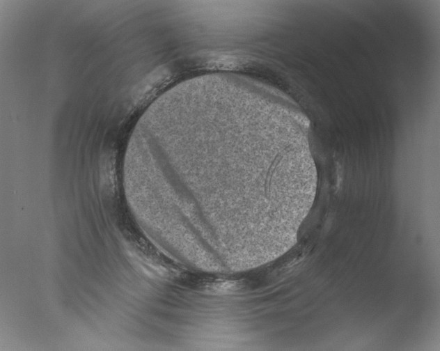 X0000076070312200610202021