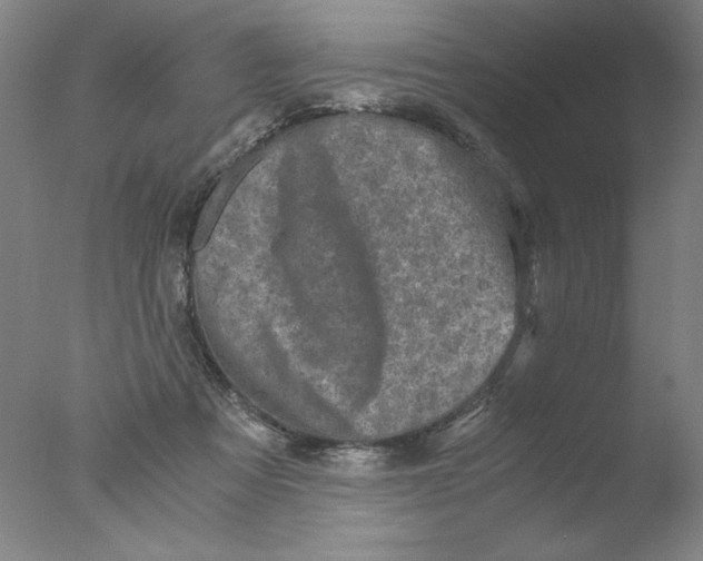 X0000076070313200610202021