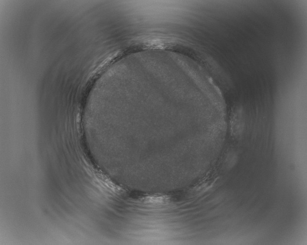 X0000076070314200610202021