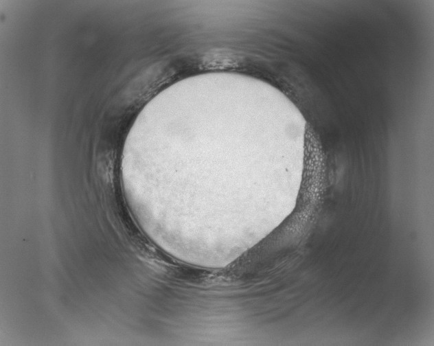 X0000076070315200610202021