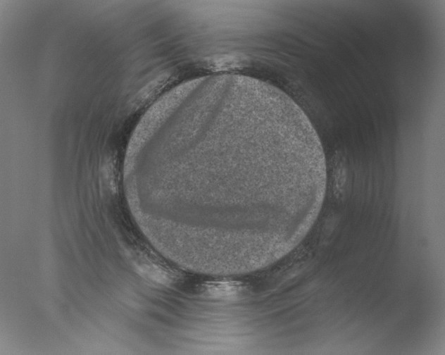 X0000076070316200610202021