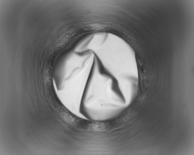 X0000076070317200610202021