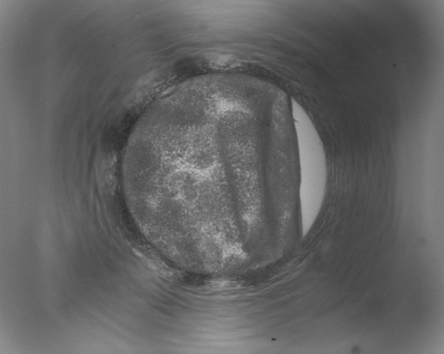 X0000076070319200610202021